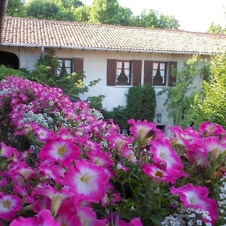 Orsenigo Agriturismo Cassinazza מראה חיצוני תמונה