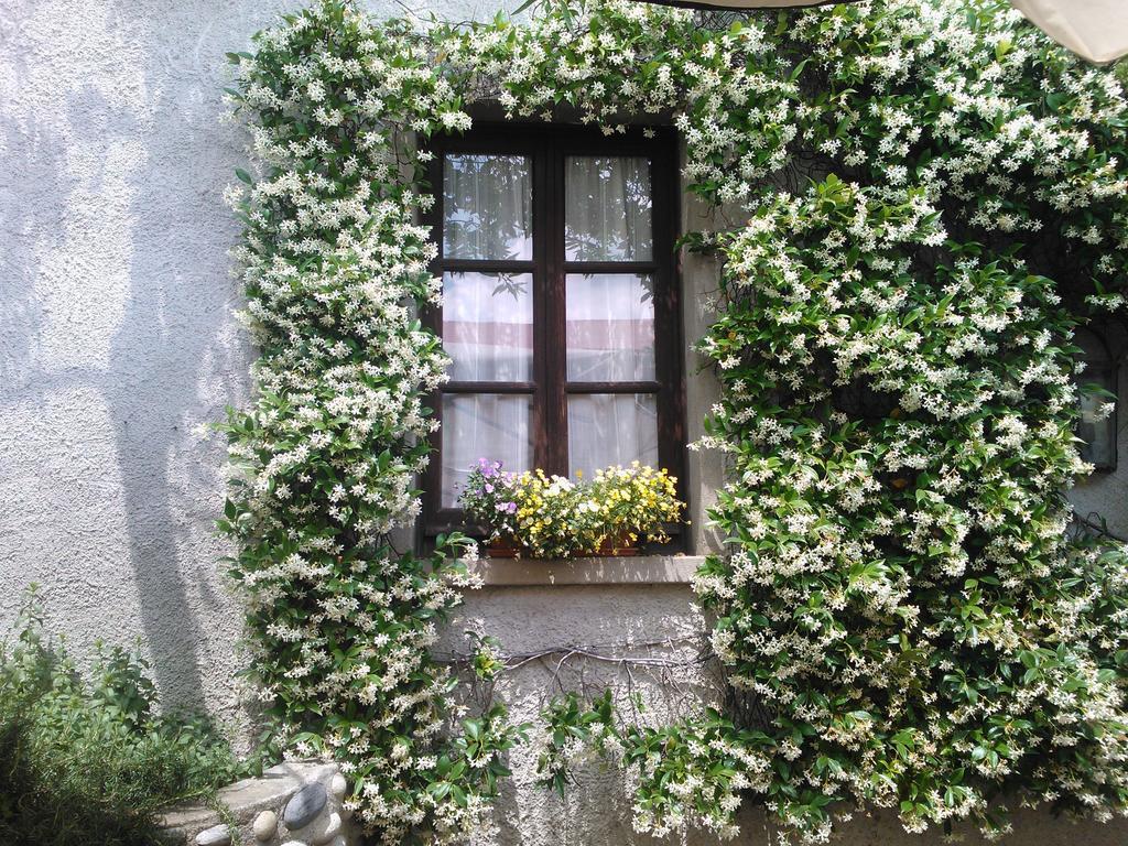 Orsenigo Agriturismo Cassinazza חדר תמונה